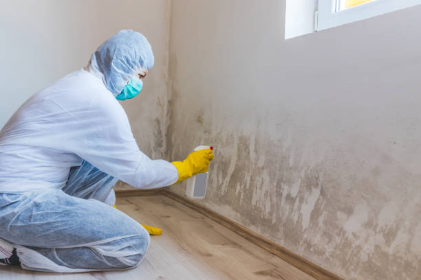 Biohazard Mold Removal in Melbourne, FL